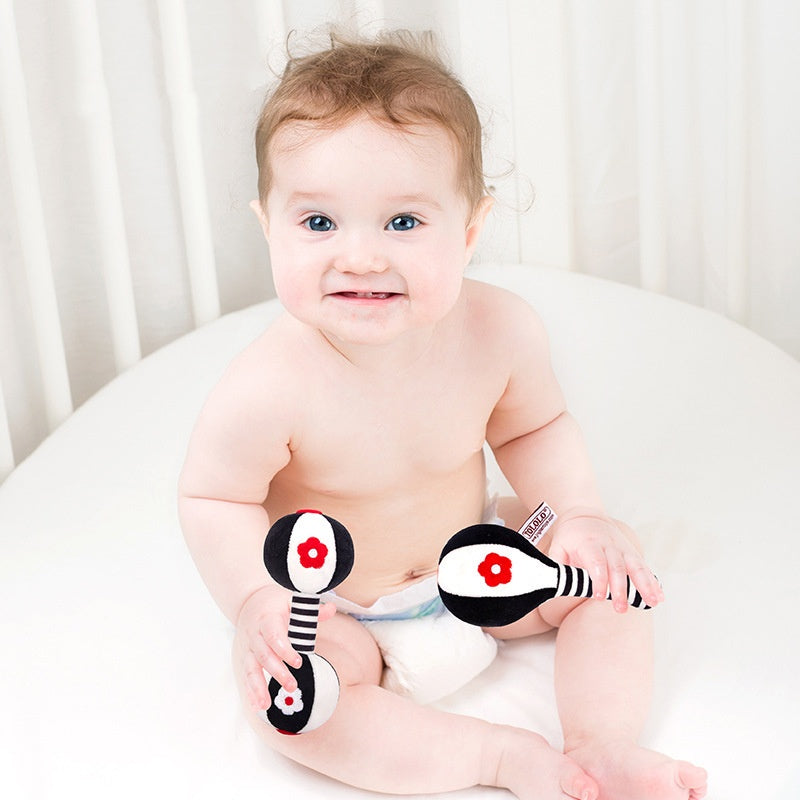 Black & White Baby Vision Training Toy