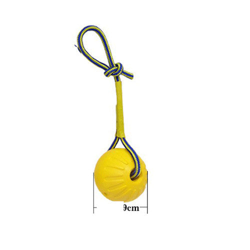 Toy Large Puppy Interactive Training Equipment Accessories