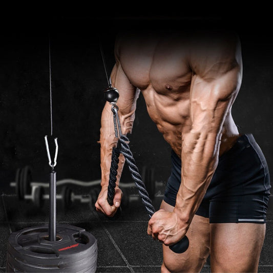 Home Fitness Pulley System