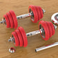 Solid Iron Dumbbells